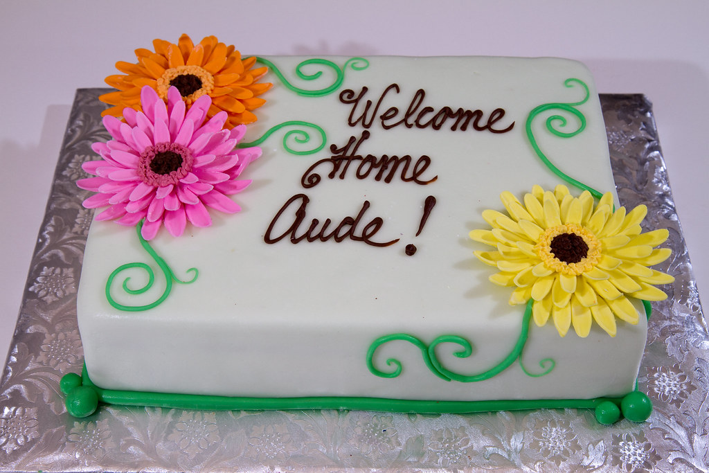 Colored Daisies Alliance Bakery Flickr