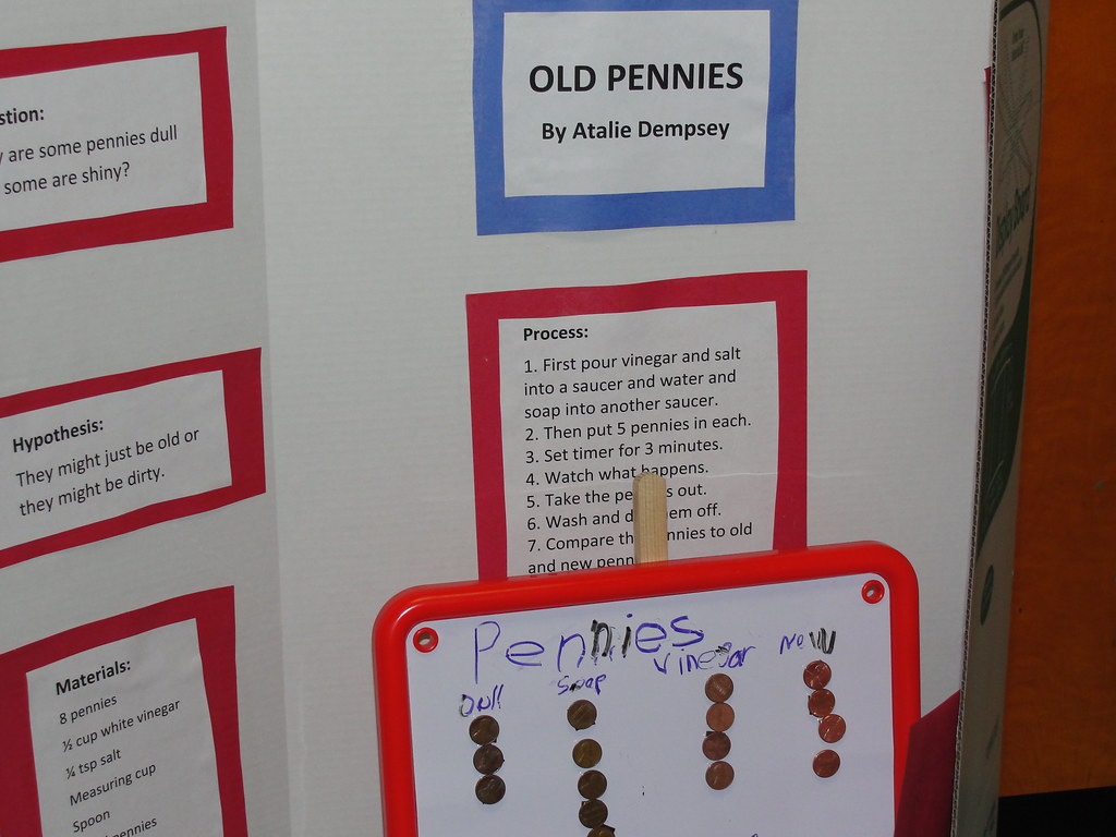Science Fair Projects K.W. Barrett Flickr