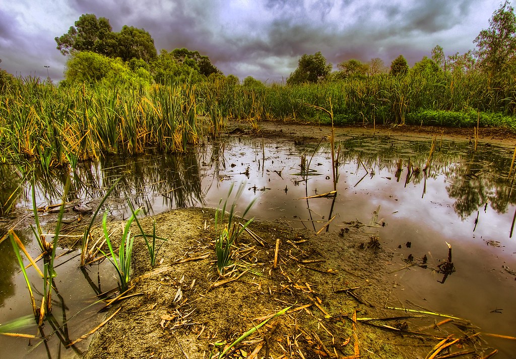 Shallow Waters Monger Park Subiaco Perth WA Mike Pratt Flickr
