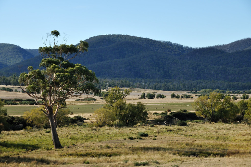 Grassland Tasmania Atsushi Kase Flickr