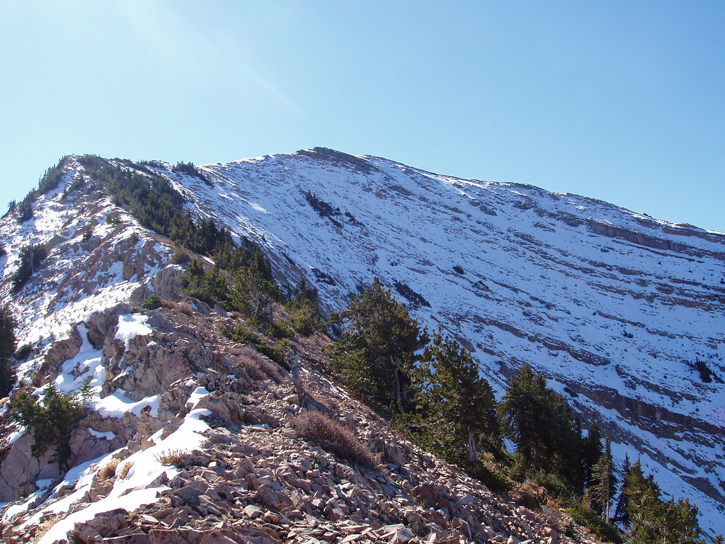 Box Elder Peak Flickr