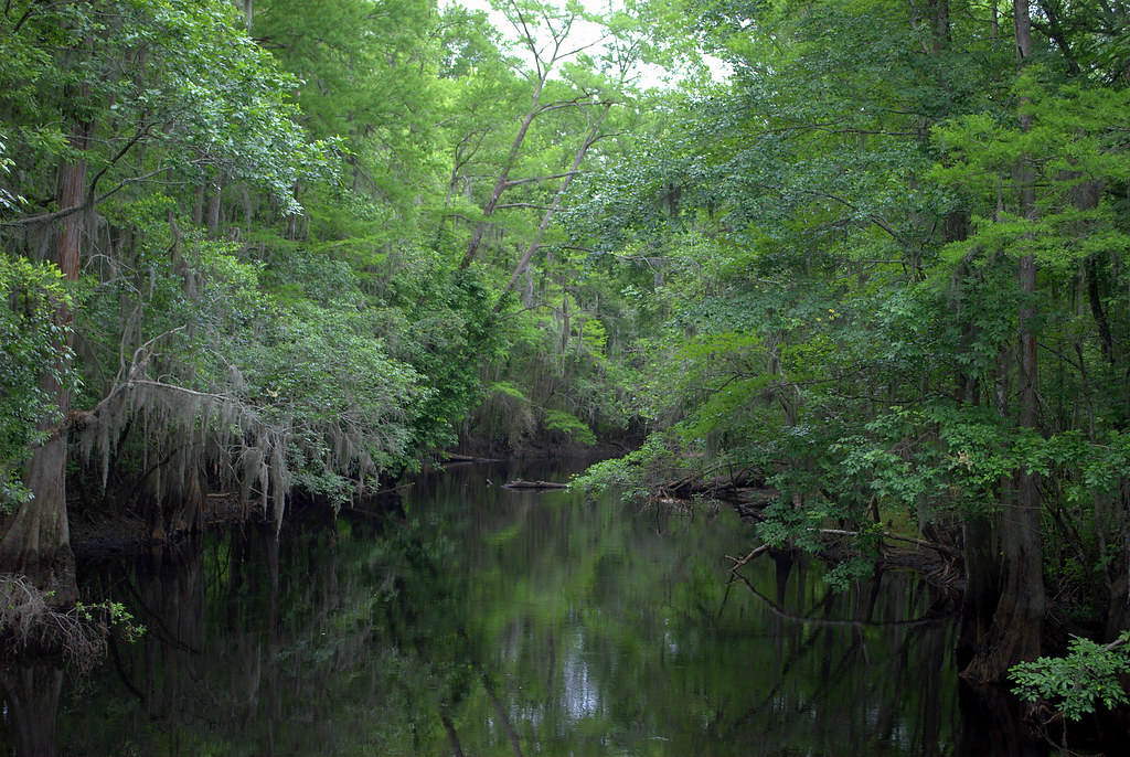 Little Pee Dee River Little Pee Dee State Park Dillon … Flickr