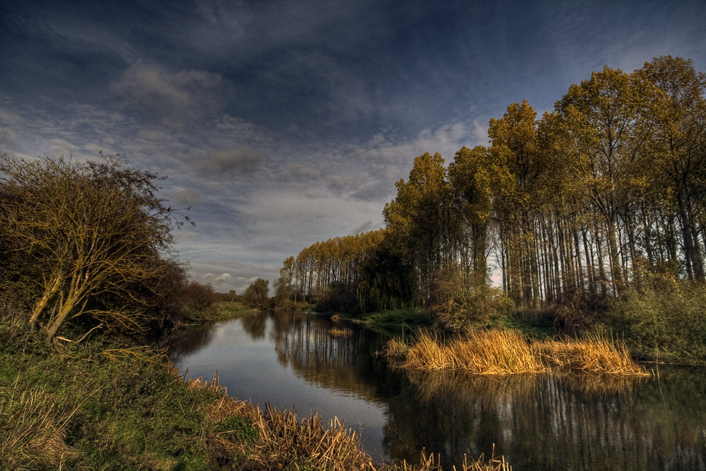 Autumn, along the osier beds Back along the osier beds to … Flickr