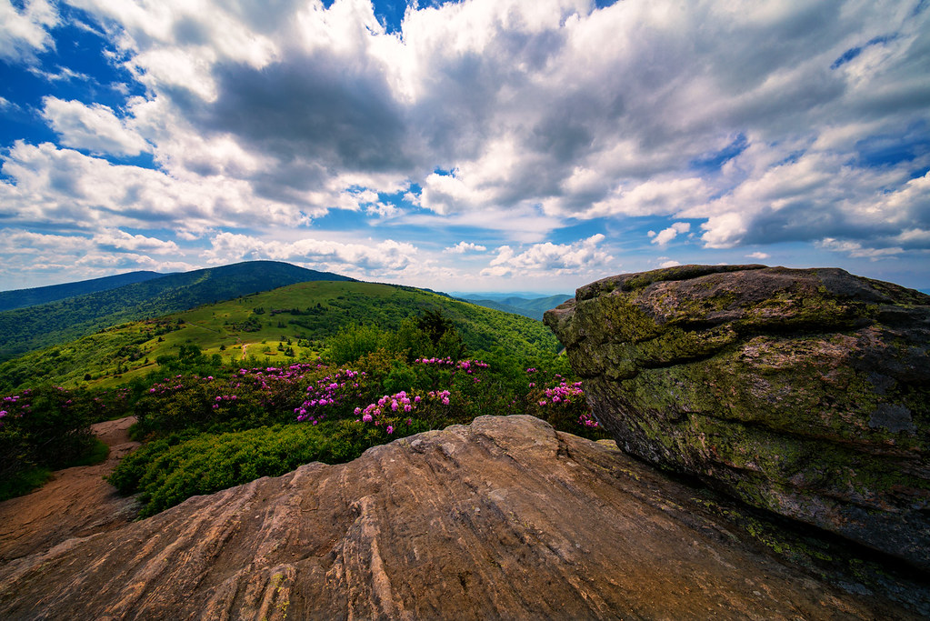 Elevation of Elk Park Hwy, Elk Park, NC, USA Topographic Map