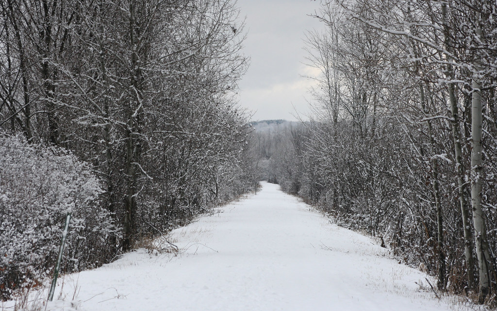 rail trail Trail between Poultney and Castleton, VT; once … Flickr