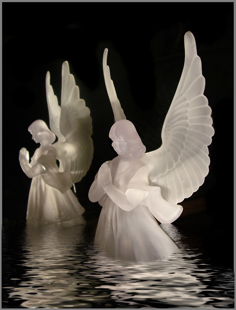 Wings Over Water Just taking shots of my Christmas decorat… Flickr