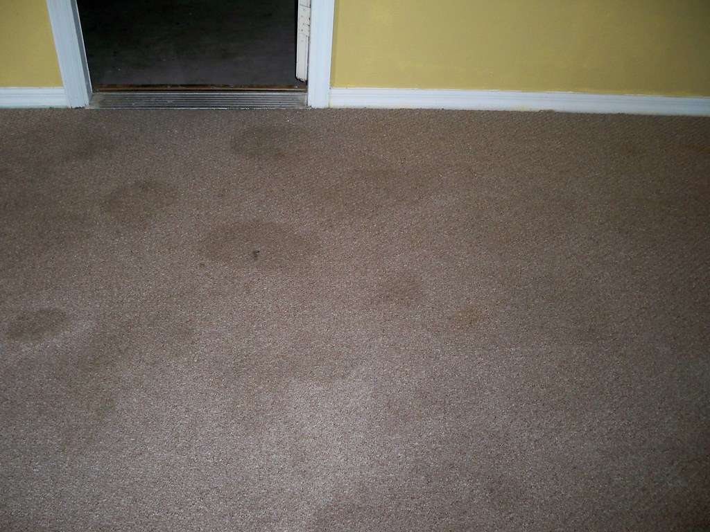 living room carpet damage Pink Sunset1986 Flickr