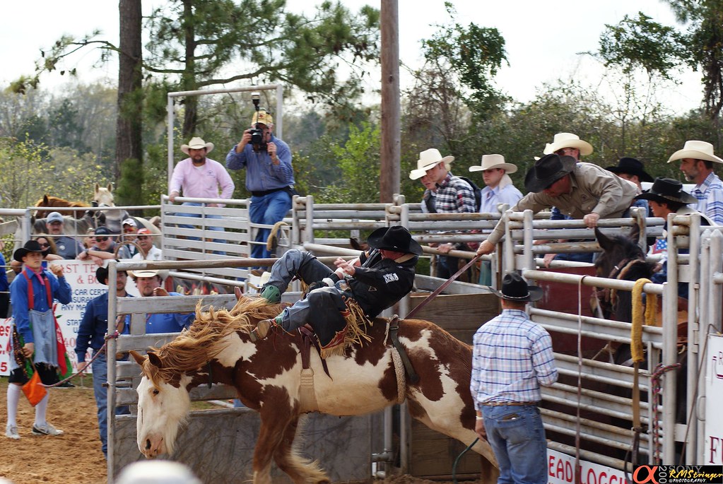 DSC04904 Pro Rodeo Star Ford Adkins at Woodville Rodeo. Ta… Flickr