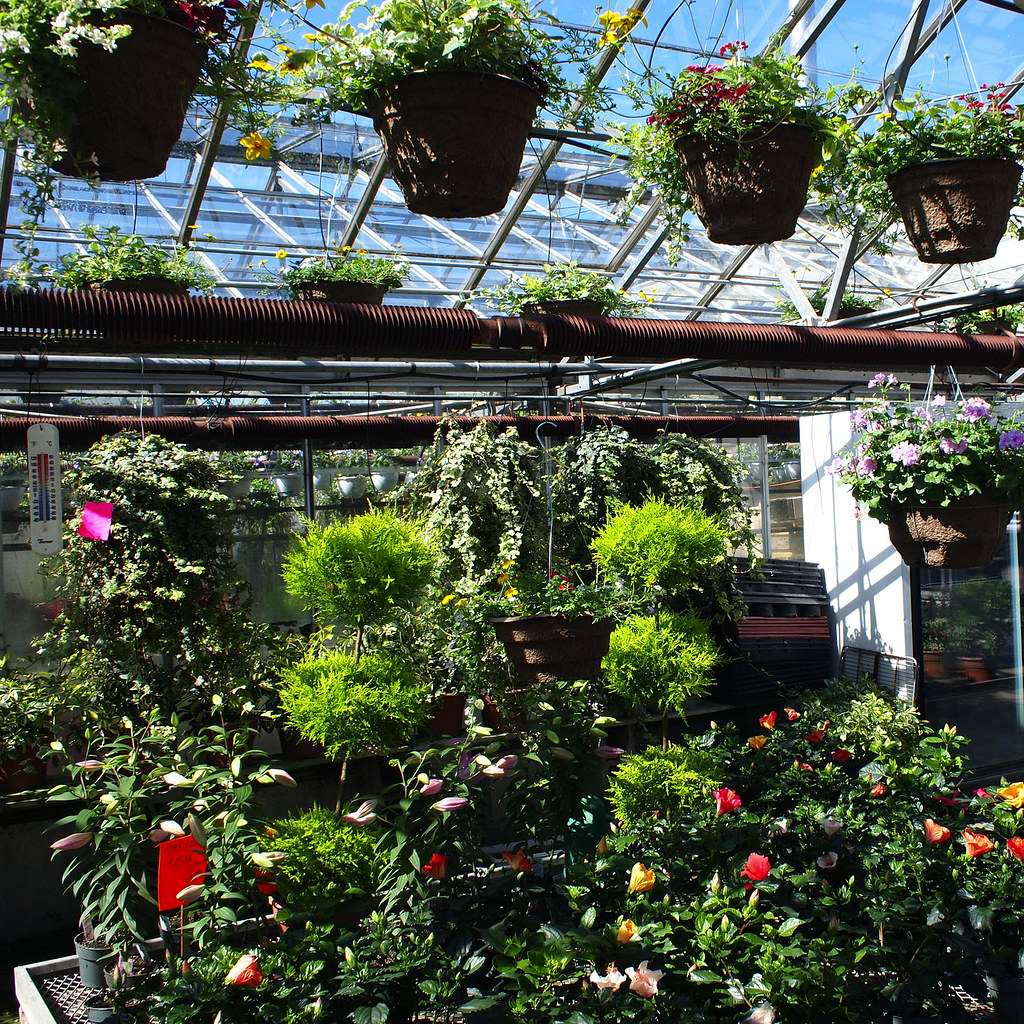 A Sure Sign of Spring... when the Garden Centres start to … Flickr