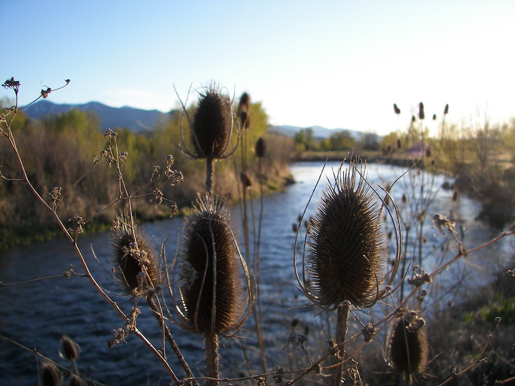 Clyde Holliday State Park Clyde Holliday State Park is a c… Flickr