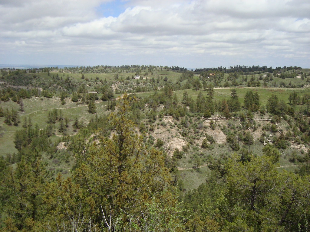 Ponderosa Pines in Wildcat Hills in Western Nebraska Flickr