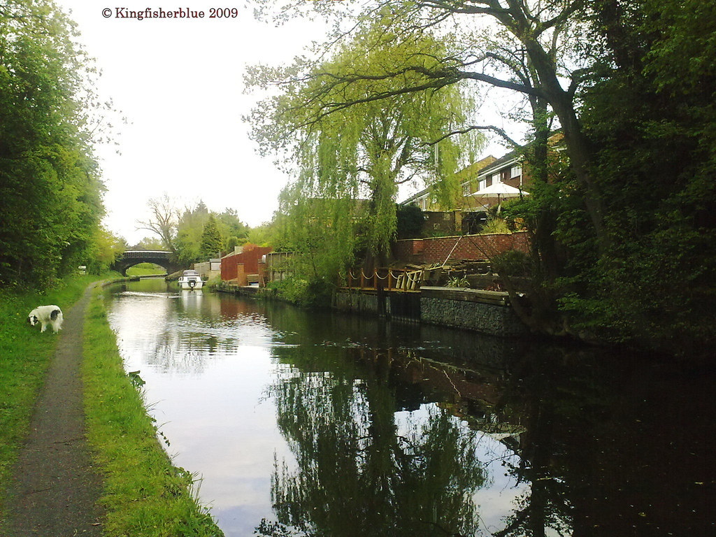 Grand Union Canal Catherine De Barnes to Camp Hill Locks Flickr
