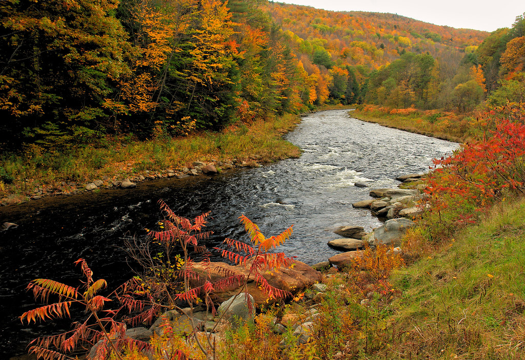VT09B0502 Black River, Vermont View On Black Matthew Metcalf Flickr