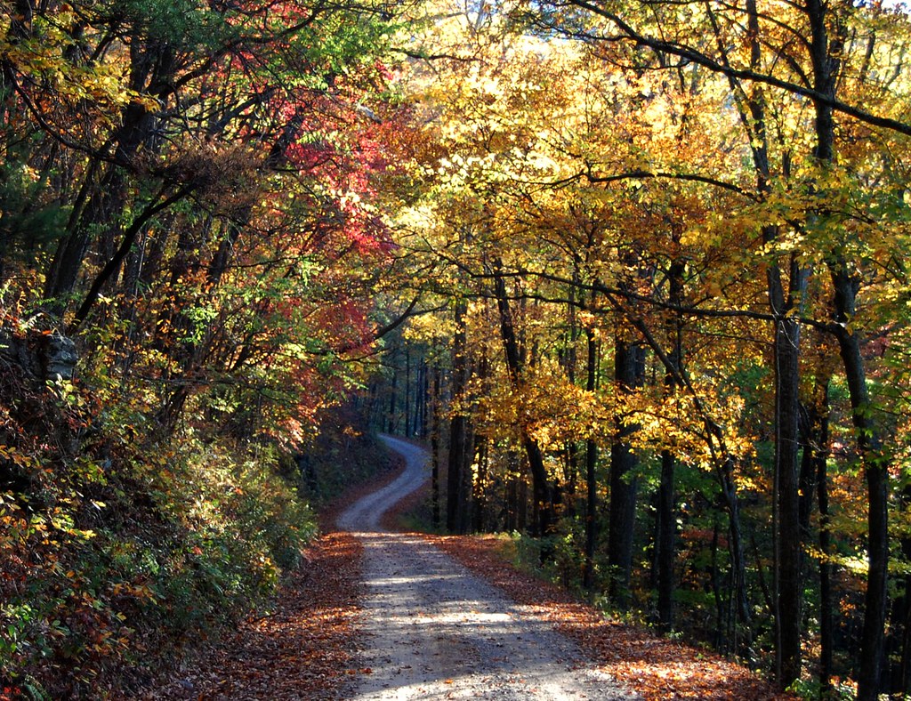 Forest Service Road 42 in North A few shots taken … Flickr