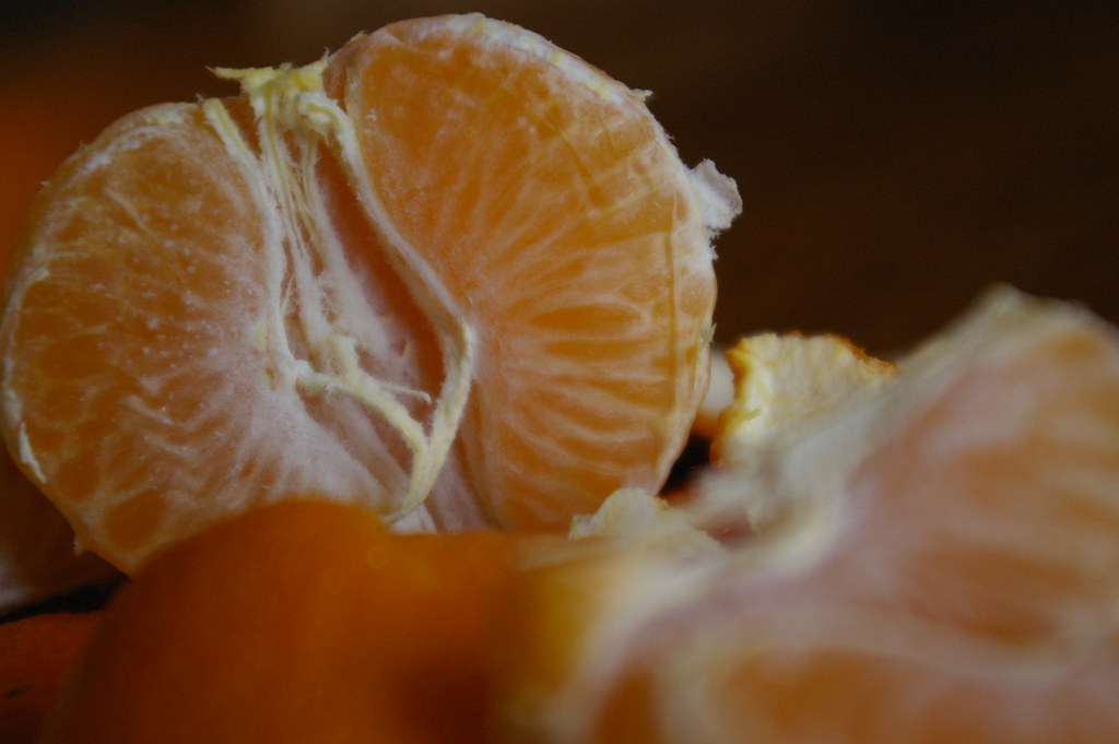 IMGP0416 christmas satsuma beckymacdonald Flickr