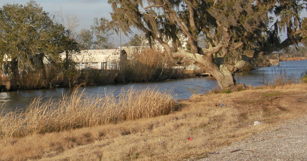 Dularge Louisiana Weather at Sarah Guerra blog