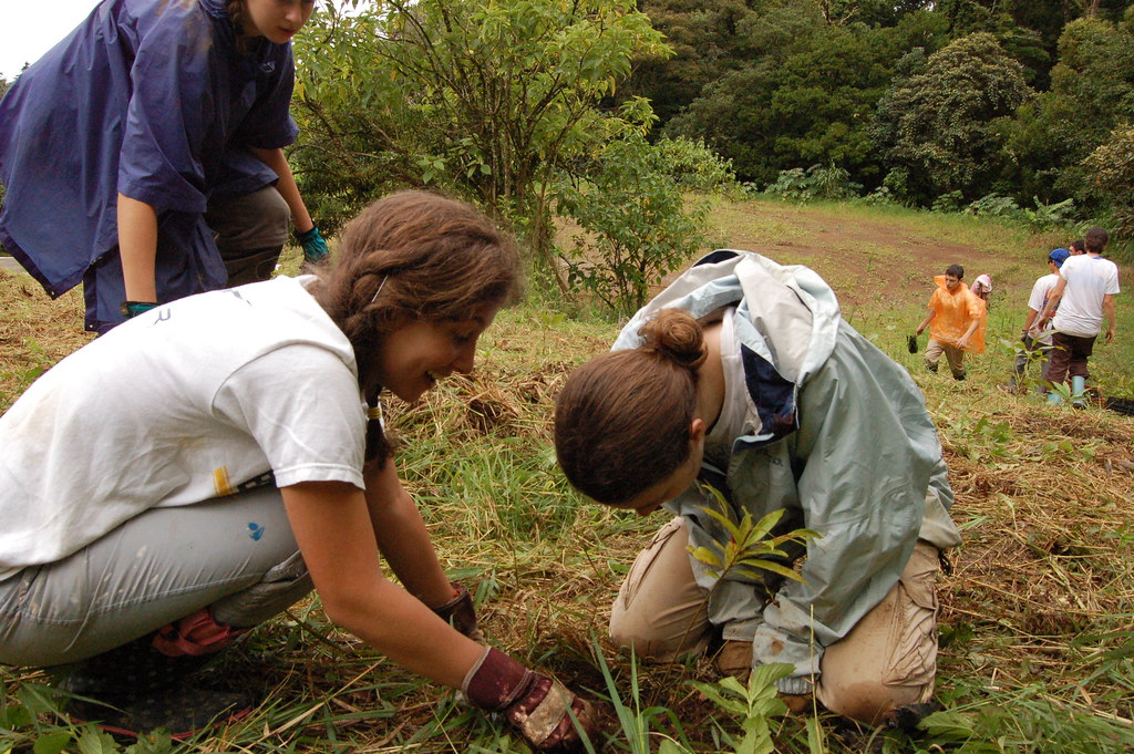 tree planting Camp Tawonga Flickr