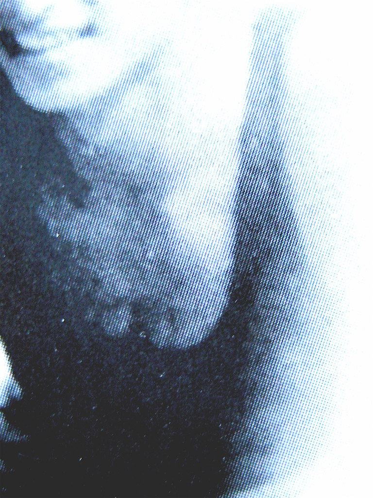 Roland Barthes, Dove lei non è, Einaudi 2010; alla sovraco… Flickr