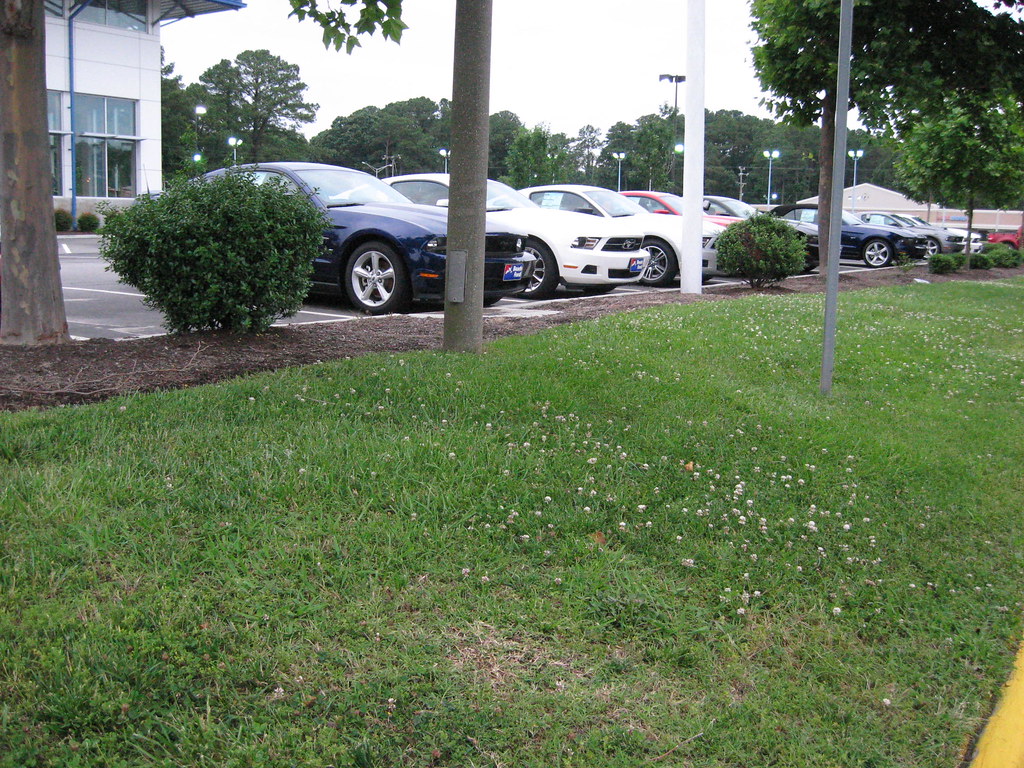 0344 Beach Ford Virginia Beach Virginia Beach Ford Virgini… Flickr