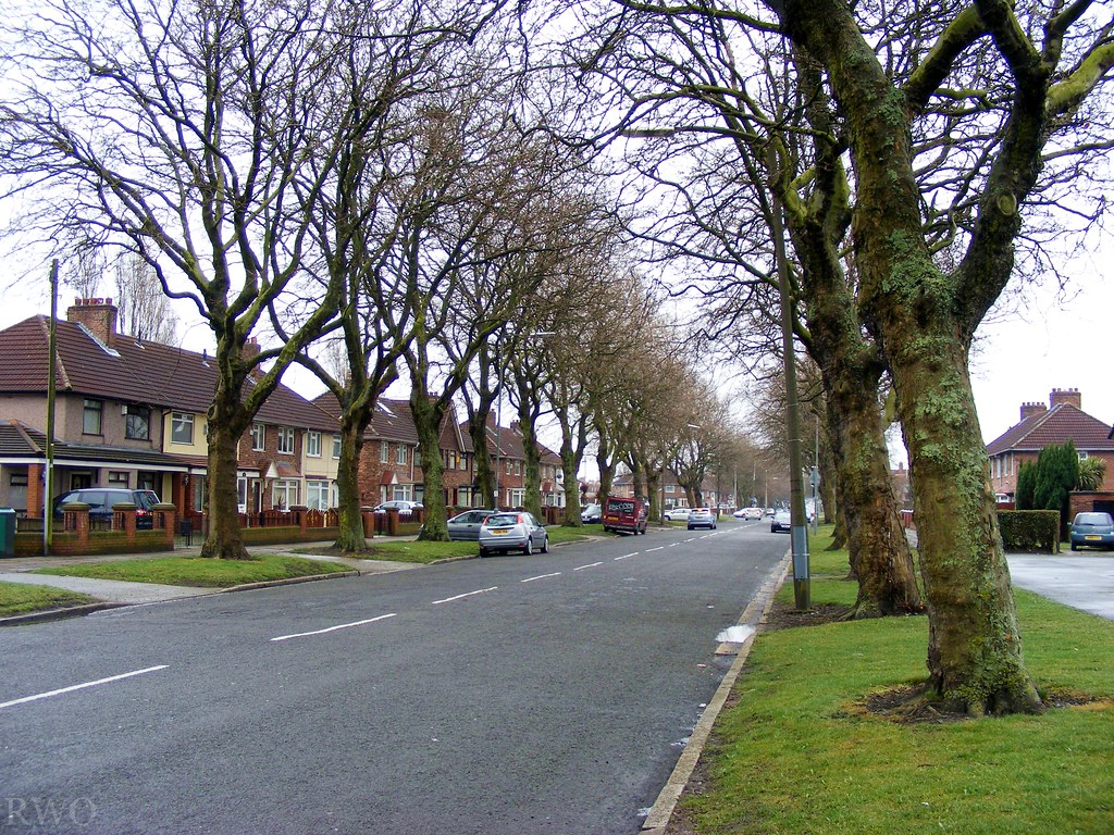 Parthenon Drive, Norris Green a photo on Flickriver