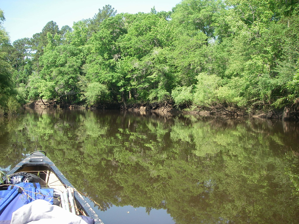 Spring Ohoopee 2010 058 badmoon58 Flickr