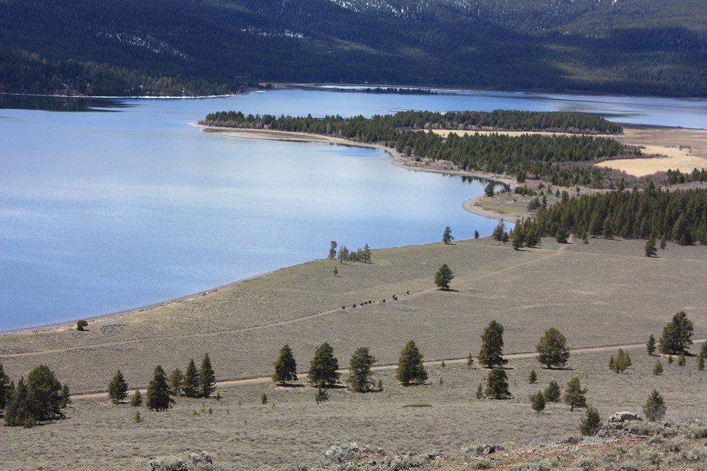 Horse Butte 2 Horse Butte is a peninsula jutting into Hebg… Flickr