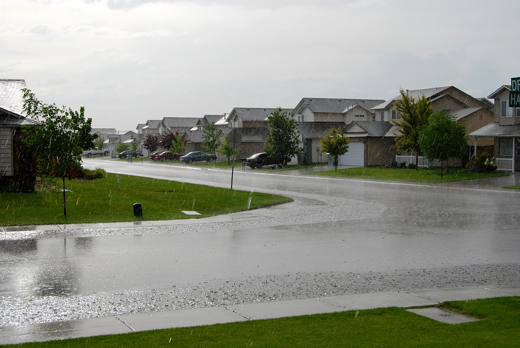 Rain! It was not supposed to rain today, but it did. The t… Flickr