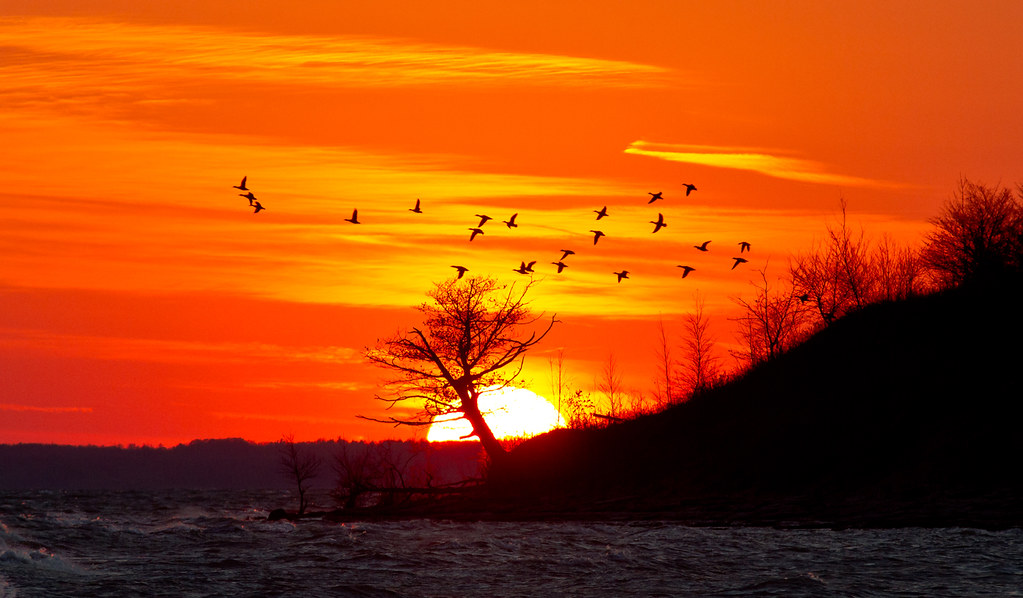Lake Erie Sunset with Serendipitous Birds at Nanticoke Ont… Flickr