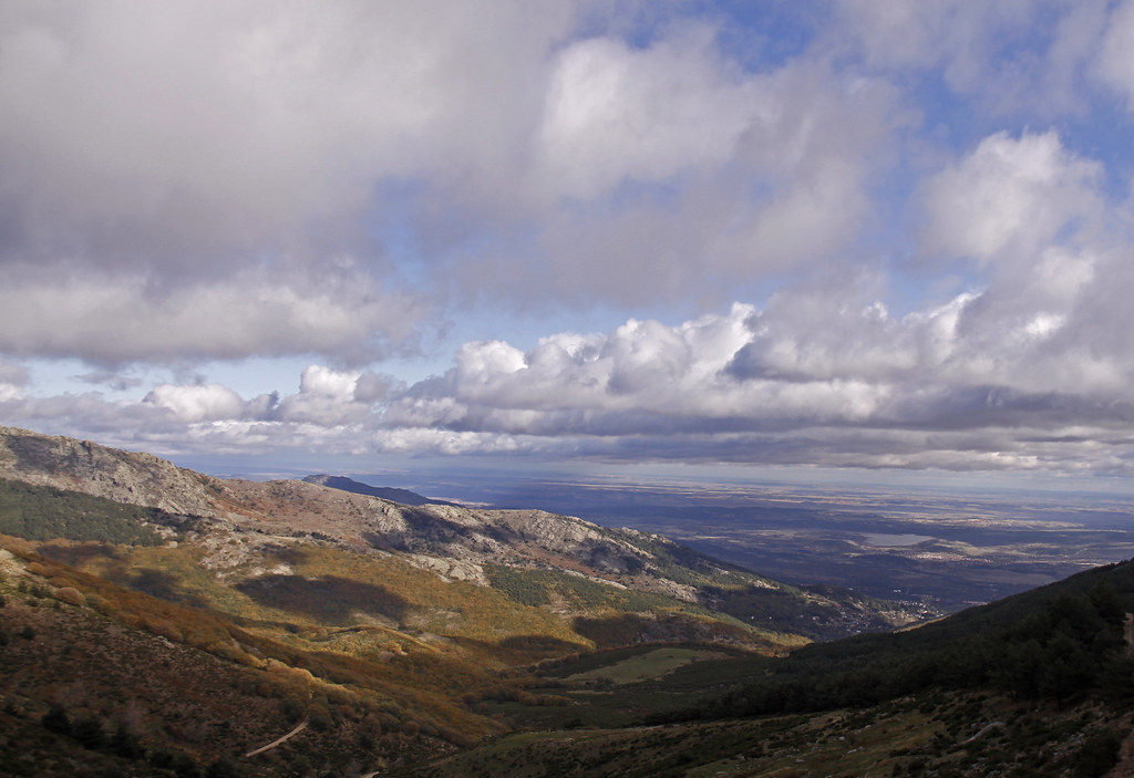 Sombras en el monte Vicente León Rueda Flickr