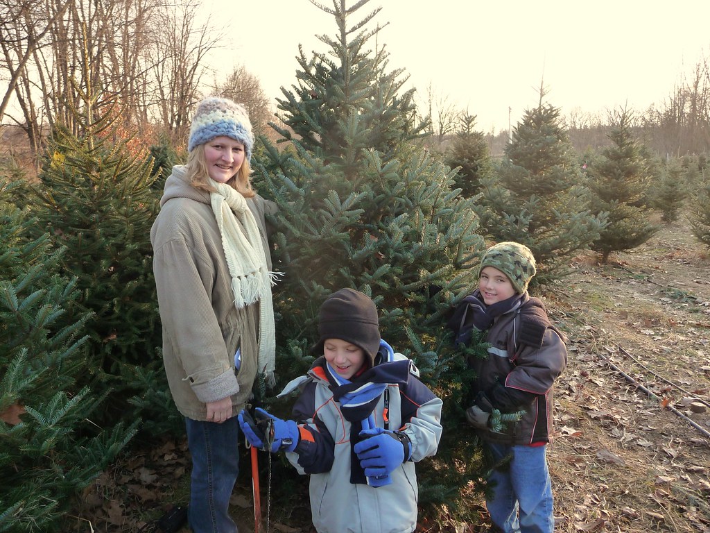Annual trip to Waldock Christmas tree farm Annual trip to … Flickr