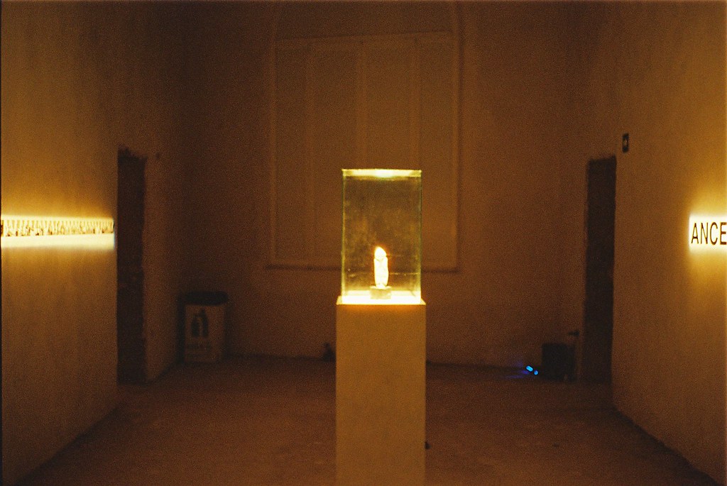 reggio emilia, fava jukka reverberi Flickr