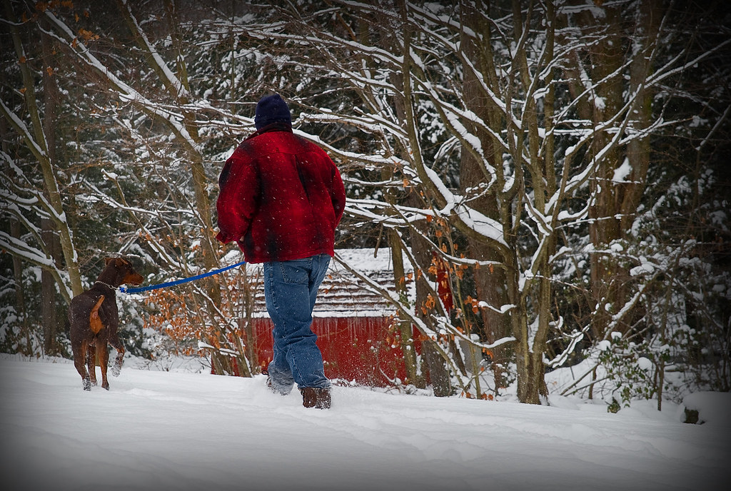Elevation of Hazen Richardsville Rd, Brookville, PA, USA Topographic Map Altitude Map