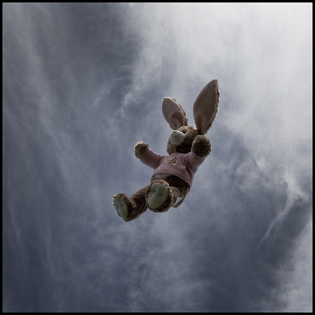 Flying Rabbit Martin Pahl Flickr
