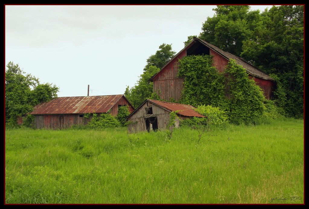 Abandoned Farm Buildings Imlay City, Michigan img 4029 /… Gary