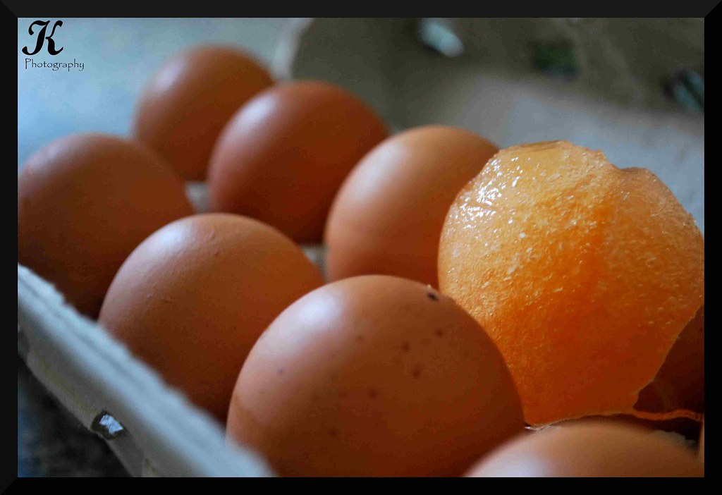 Day 150 Frozen eggs! The refrigerator has managed to free… Flickr