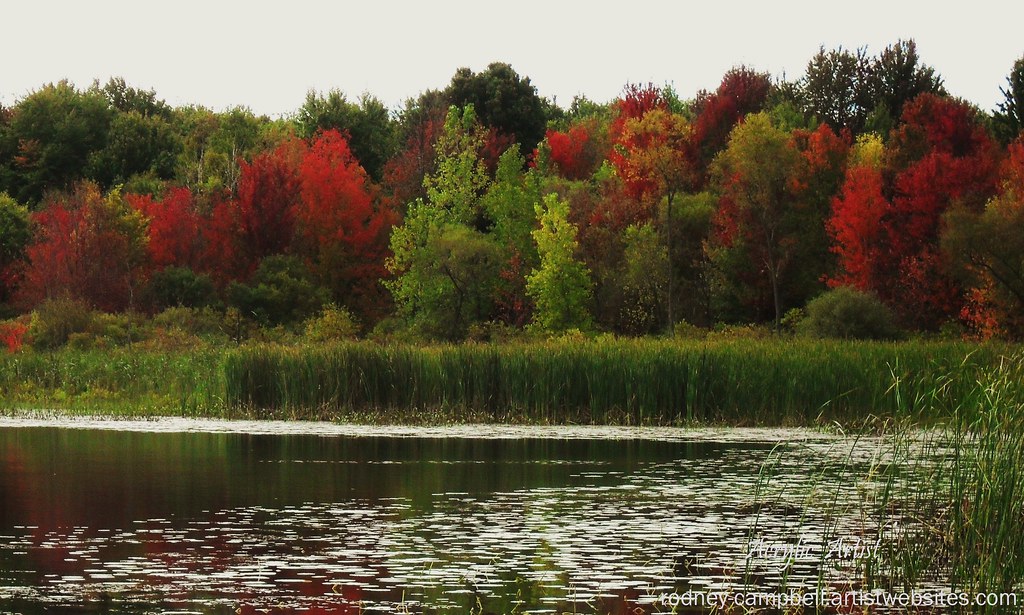 Fall in Michigan Big Fish Lake near Ortonville Michigan. Rodney