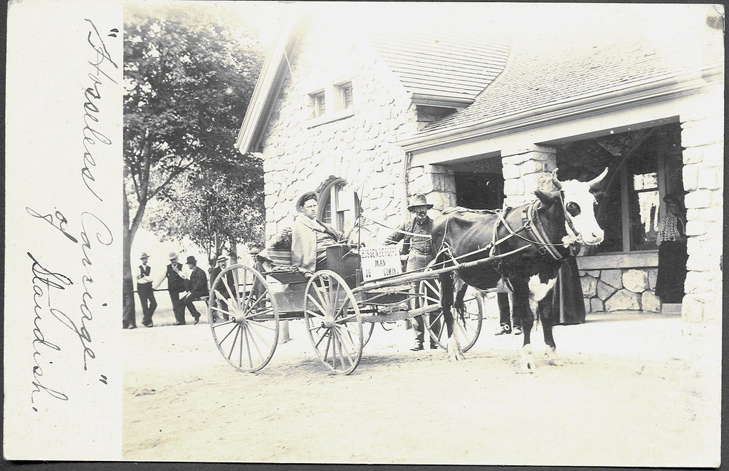 Pinconning MI 1908 Ox Drawn Buggy Writer says Milan sold O… Flickr