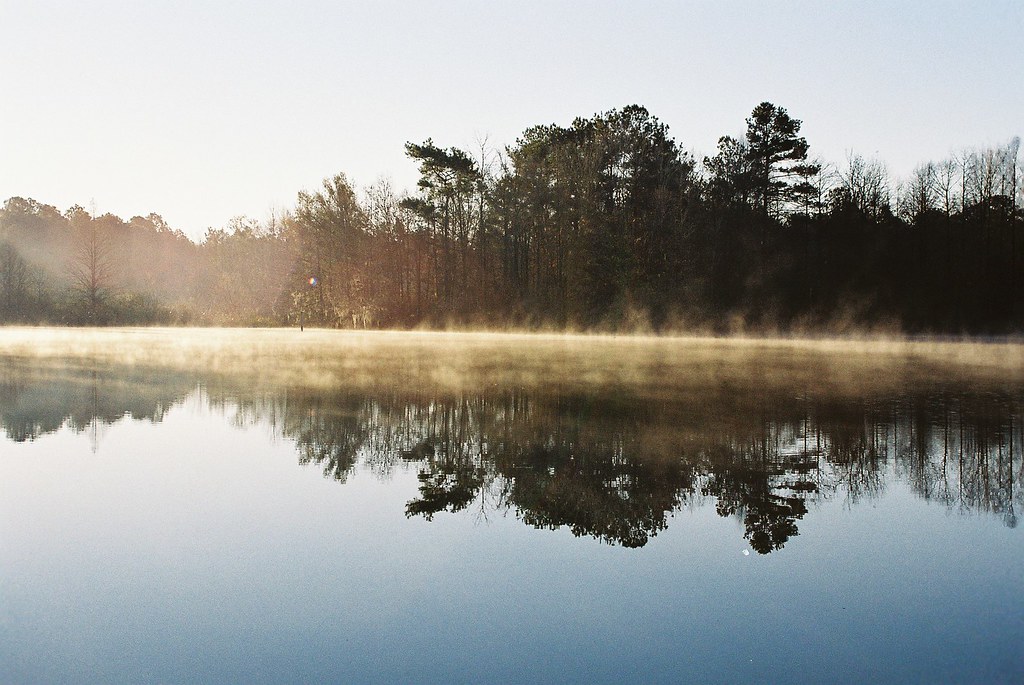 Faceville (6) proacguy1 Flickr