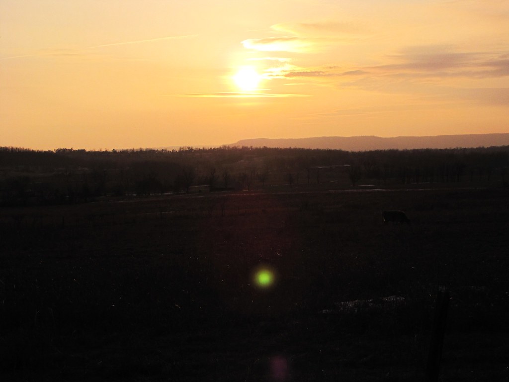 Elevation of Mc, Yellville, AR, USA Topographic Map Altitude Map