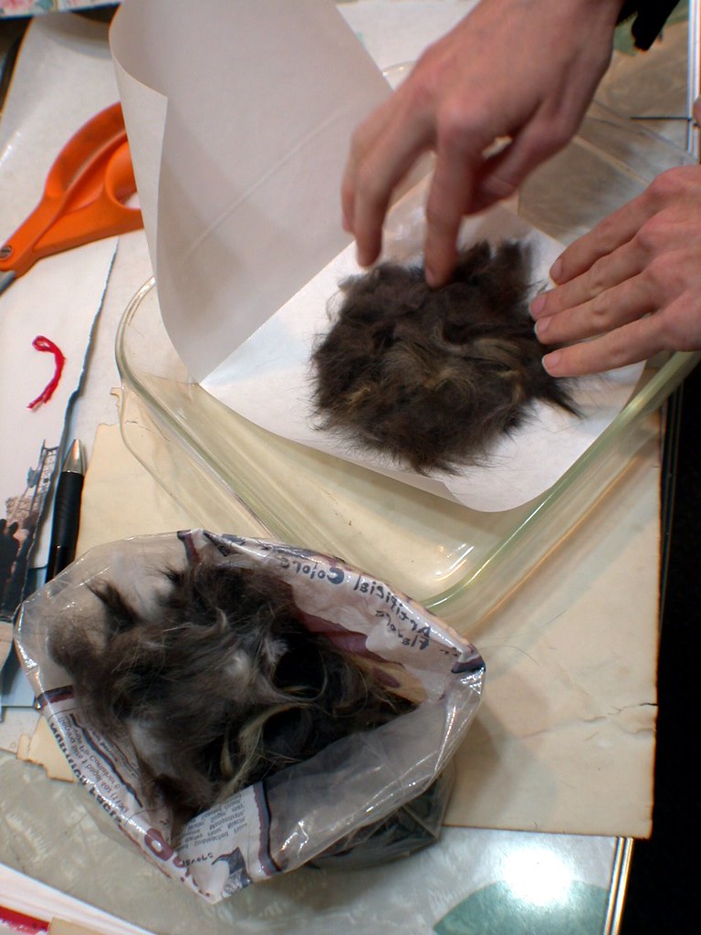 felting cat hair Working with a strange art medium... cat … Flickr