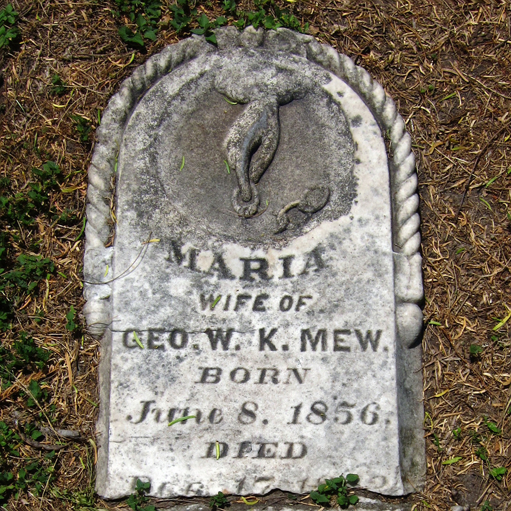 maria mew Lovely example of the broken chain of life. Mari… Flickr