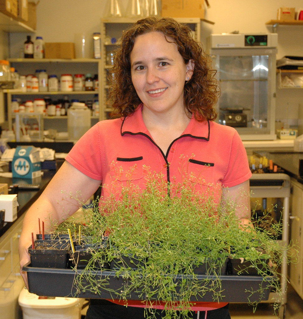 Bethany Zolman vert Bethany Zolman, assistant professor of… Flickr