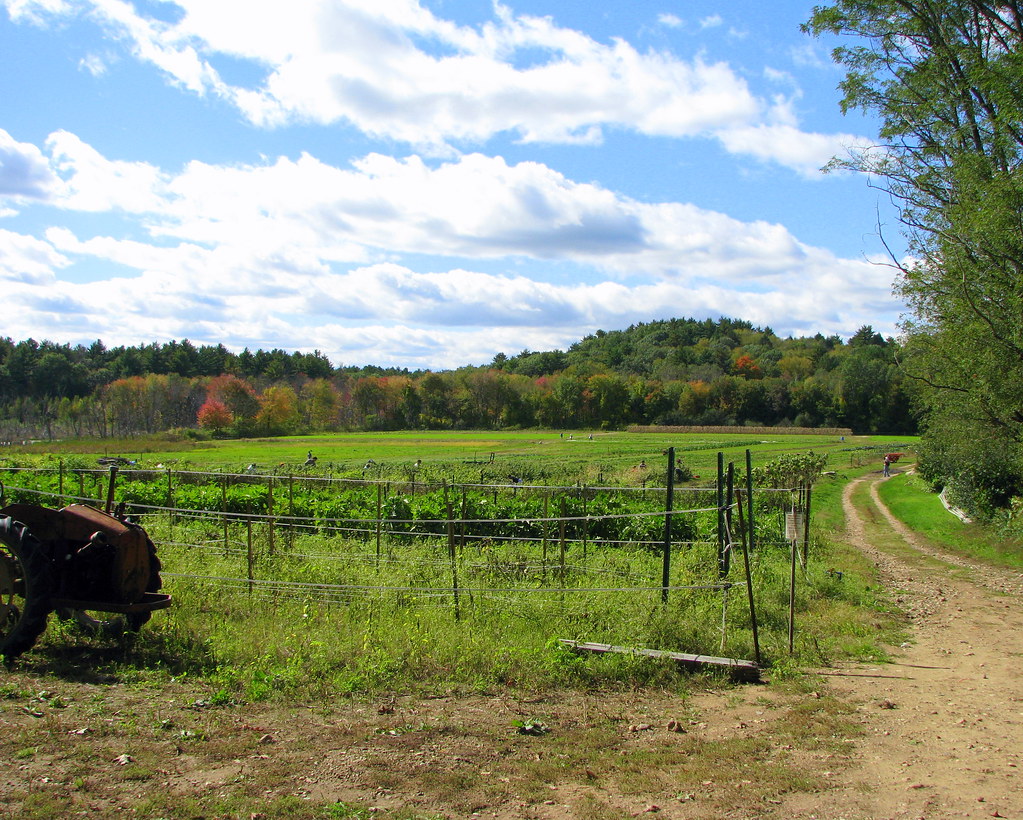 IMG_5565 Matthew Day 31 farm Weston conservation lands, Oc… Flickr