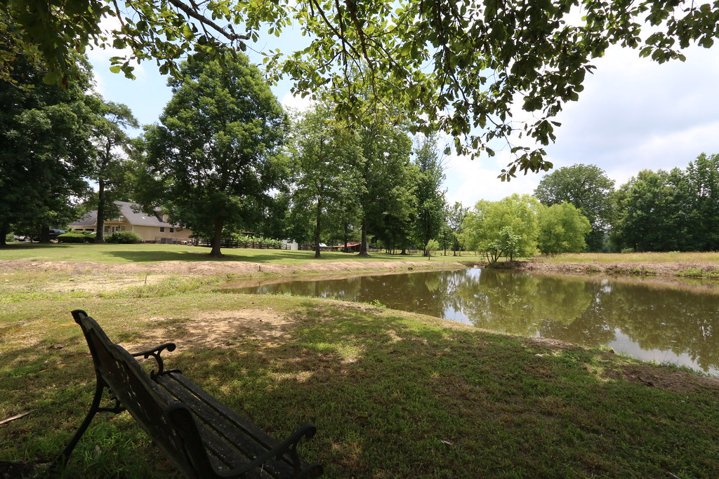 11934 Hwy 411 Odenville, AL Goodman Farm 17 Acre Mini … Flickr