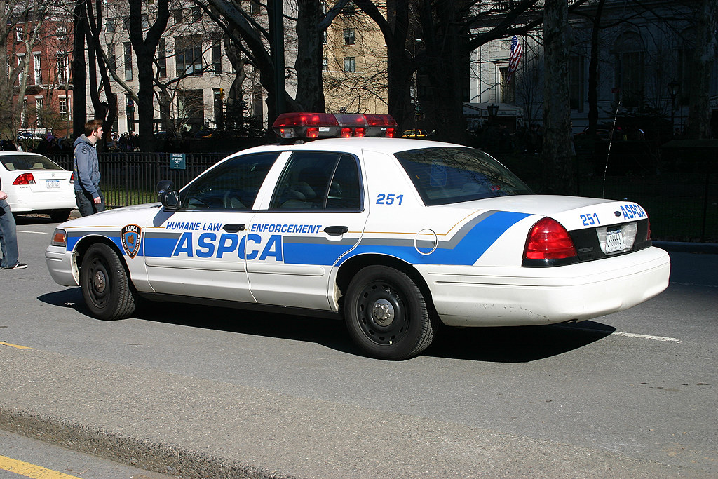 ASPCA Car New York 2332008 ASPCA car in Central Park. Andrew