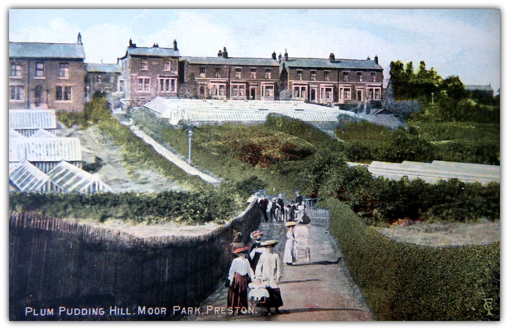 Plum Pudding Hill, Moor Park, Preston Tinted Postcard by F… Flickr