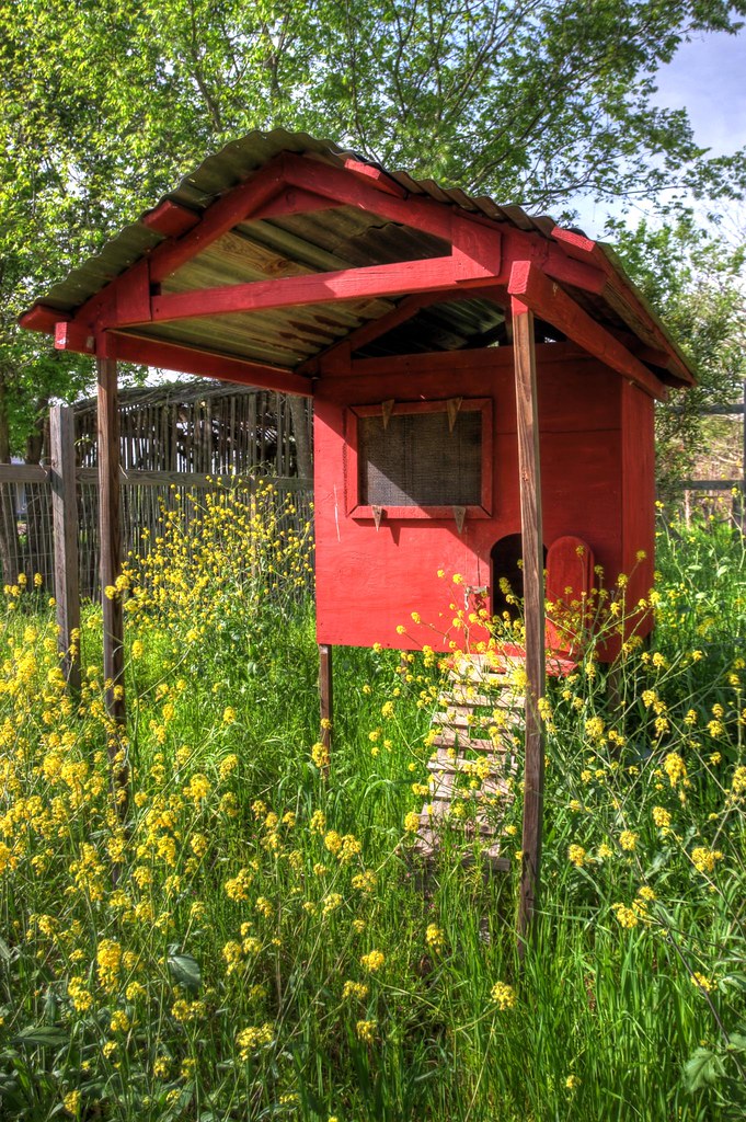 Retired chicken coop Cate S Flickr