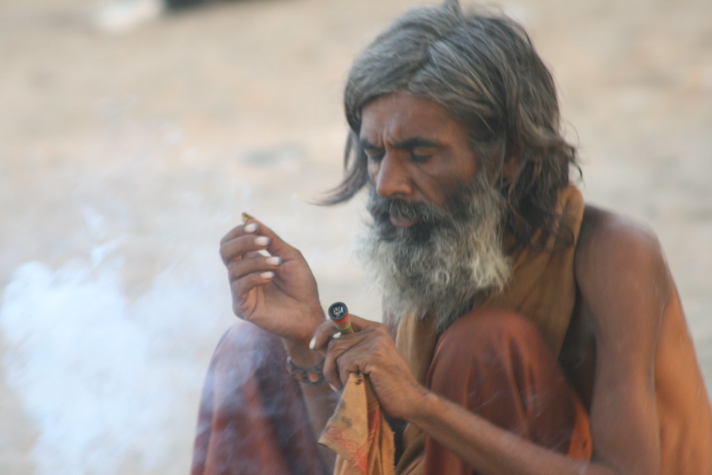 IMG_7842 Navin B Flickr