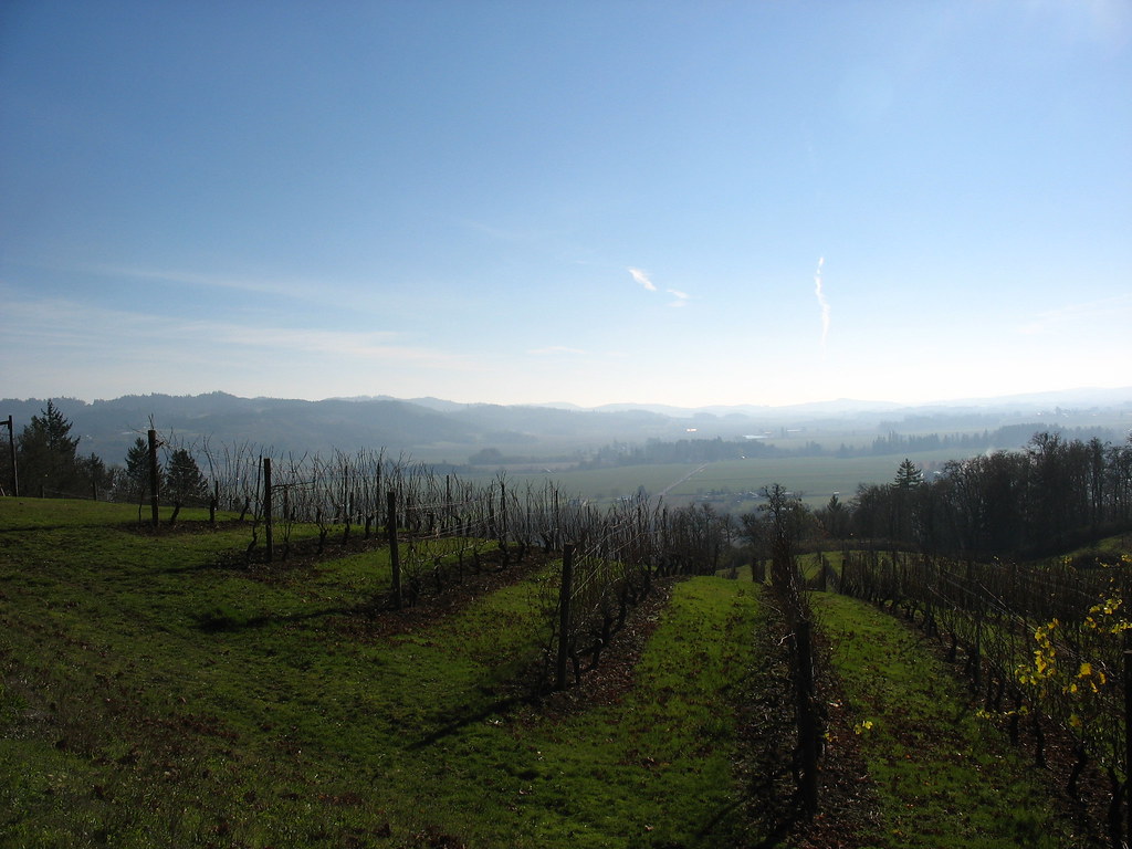 Amity Winery VBerry15 Flickr