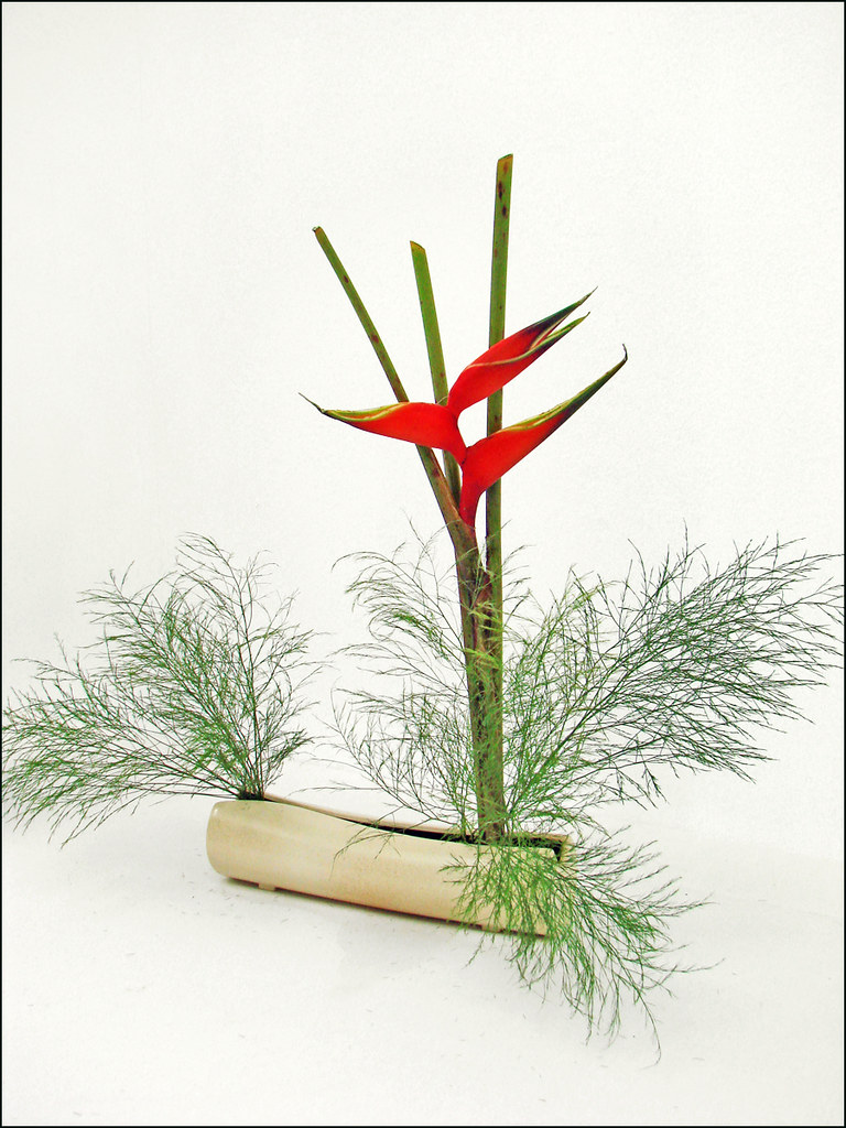 Ikebana (Madrid) L’Ikebana (生け花 ou いけばな) également connu s… Flickr